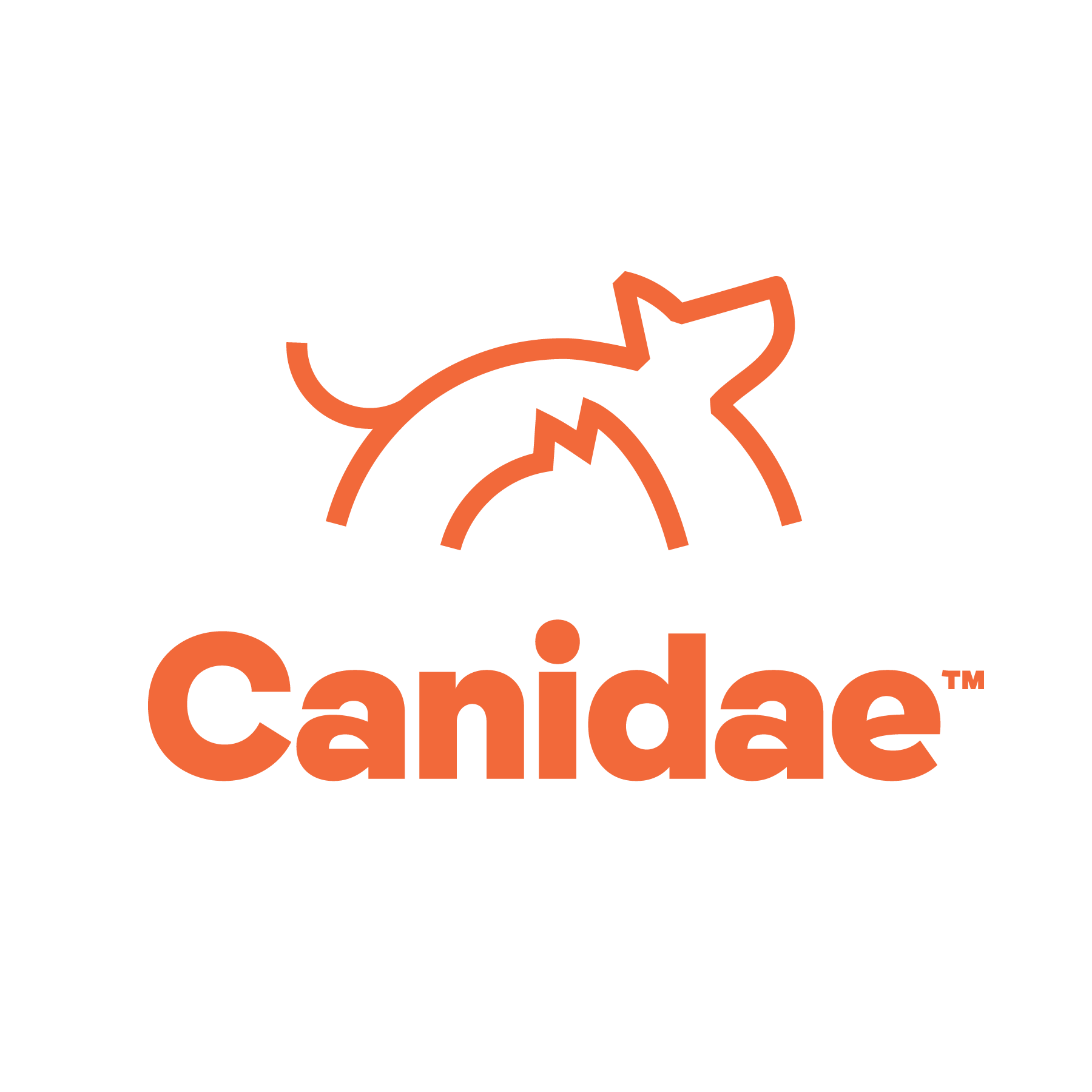 Canidae_Masterbrand_logo_orange-01